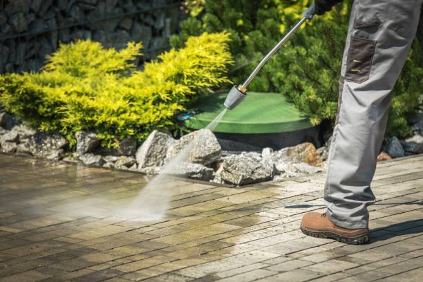 Best Driveway Cleaning and Restoration in Paddock Lake, WI